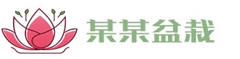 开云手机官方网站-开云（中国）